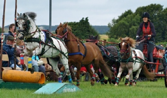Click on this picture to see a short videoclip of the display at the Chagford Show 2014