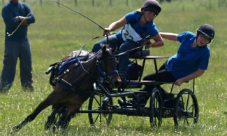 Gold rosette winner Stephie White