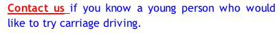 Contact us if you know a young person who would like to try carriage driving.