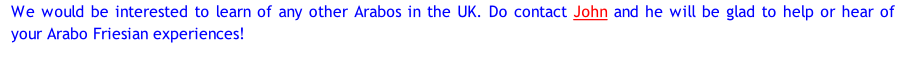 We would be interested to learn of any other Arabos in the UK. Do contact John and he will be glad to help or hear of your Arabo Friesian experiences!