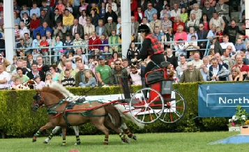 Pairs race and jumping carriages!