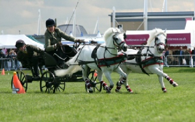 Charlie & Tom  photo by Paul Orchard