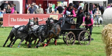 Amanda's team of Dartmoor Hills competing at Lowther 2014